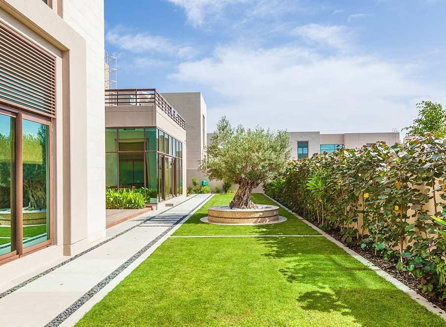 Soft Landscaping Design